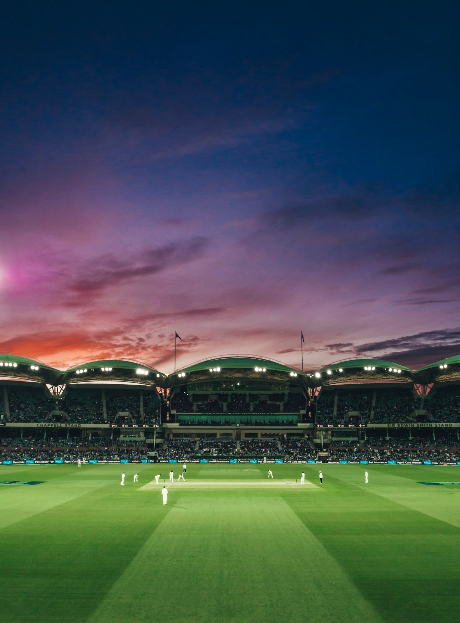Why CricketPlus Stands Out in the Betting Industry